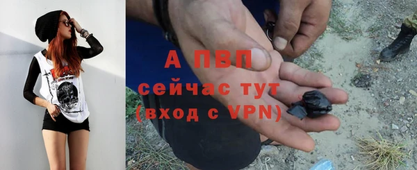ешки Арсеньев