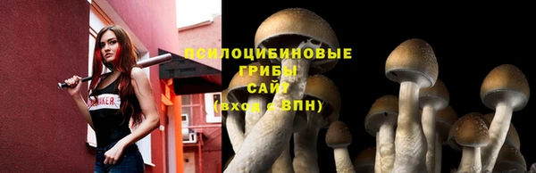 бутират Армянск