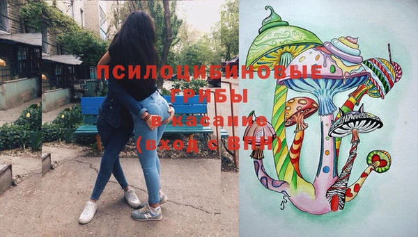 ешки Арсеньев