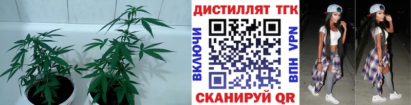 Дистиллят ТГК концентрат  наркотики  Киреевск 