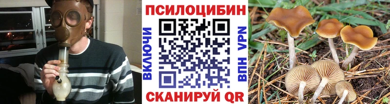 ОМГ ОМГ ссылка  Киреевск  Псилоцибиновые грибы прущие грибы 